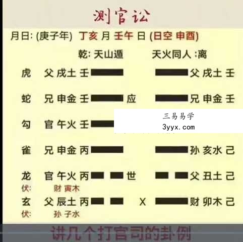 洛洛《六爻预测学》81集视频 课程封面
