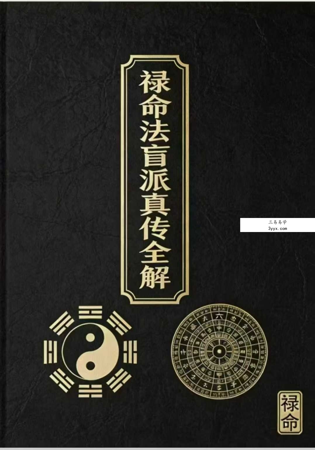杨春波 盲派九窍断命法《禄命法盲派真传全解》410页 课程封面