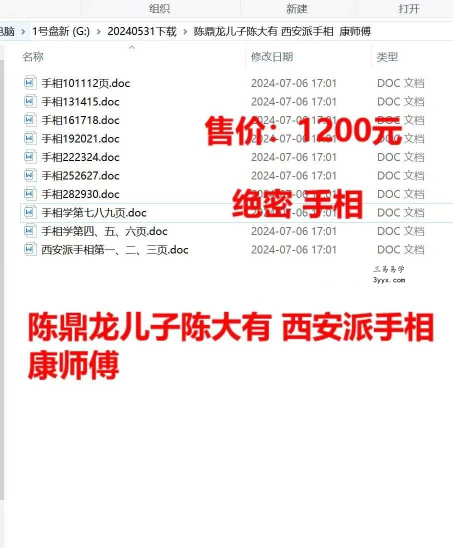 陈鼎龙儿子陈大有 西安派手相【文档】 课程封面