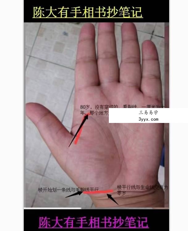 陈大有手相手抄笔记32页 课程封面