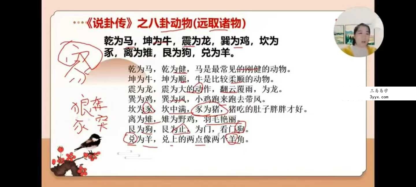 久珍《梅花易数》30集 课程封面