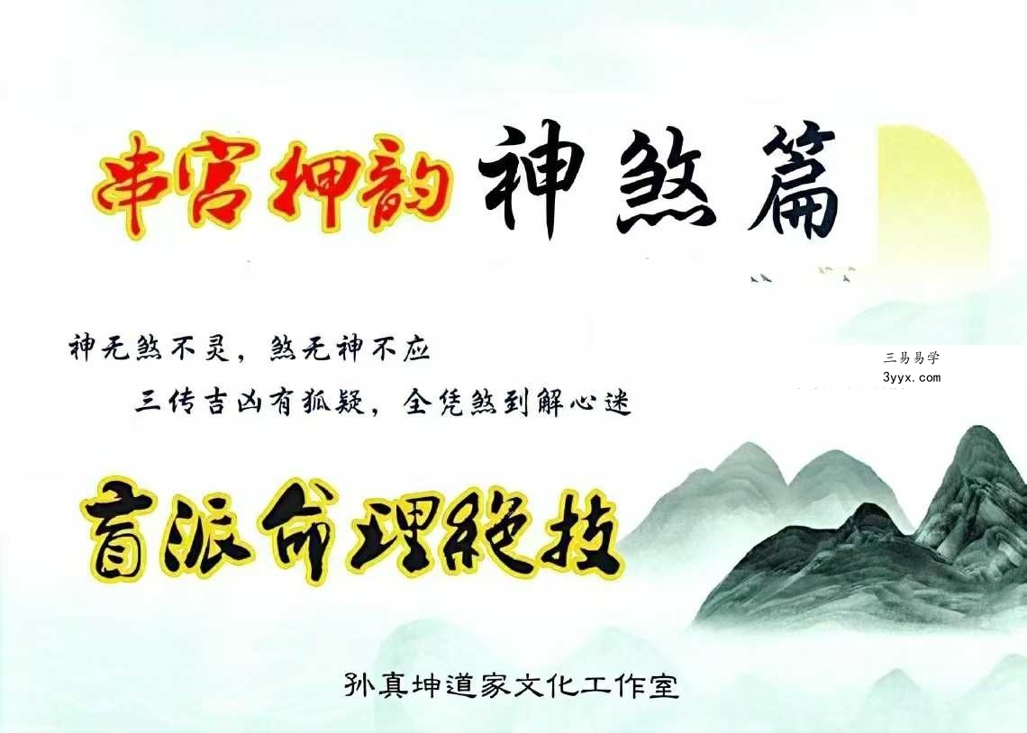 孙真坤《串宫押韵命理绝技、神煞篇》176页 课程封面