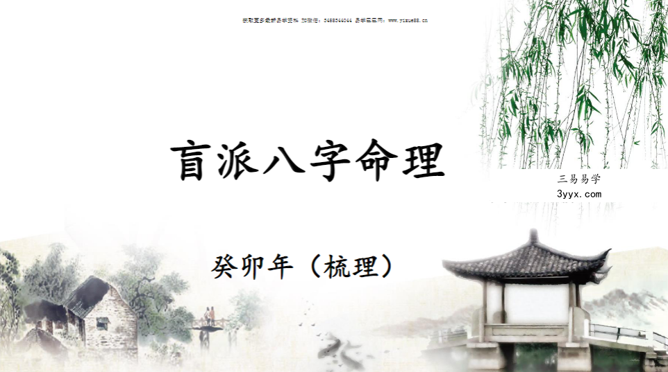 崔文举《癸卯年 盲派八字笔记》297页 课程封面