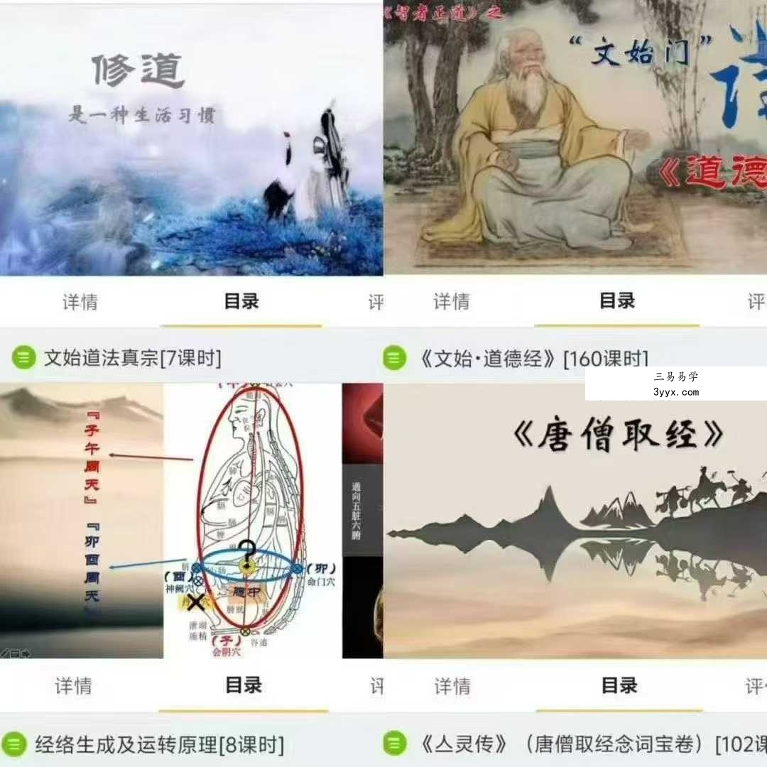 文始道全集11套合集 课程封面