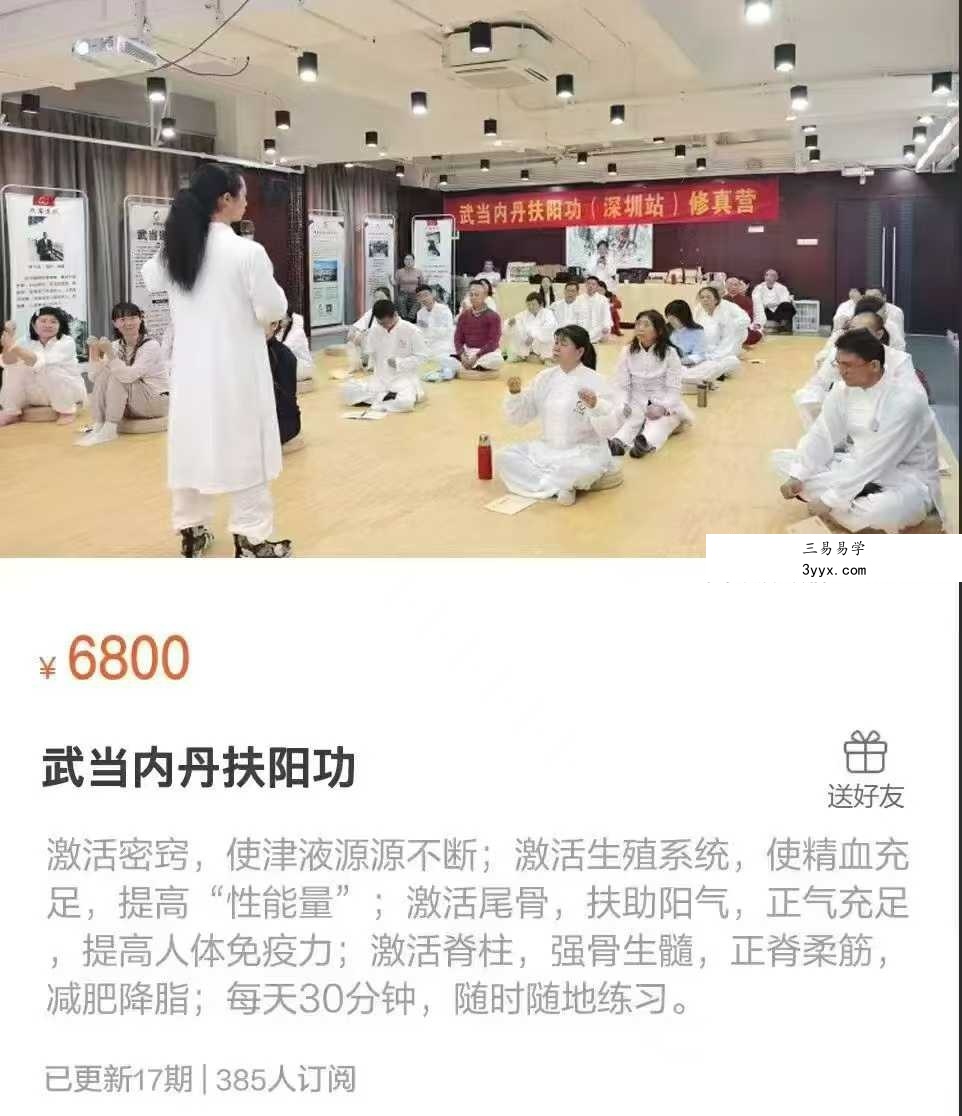 武当内丹扶阳功17集 课程封面