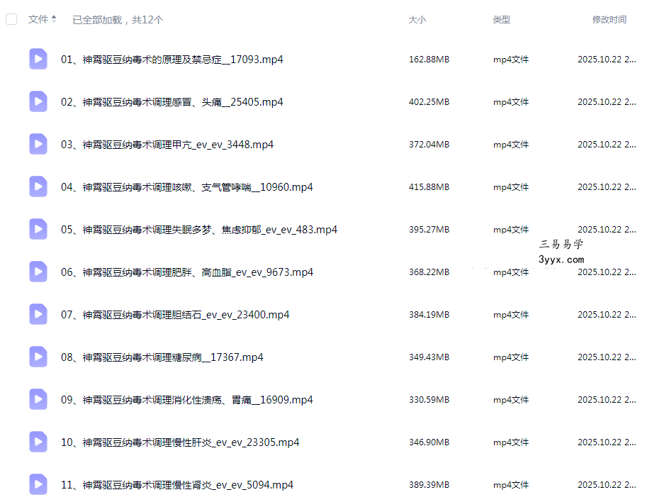 张东方张道长 神霄驱豆纳毒术12集 课程封面