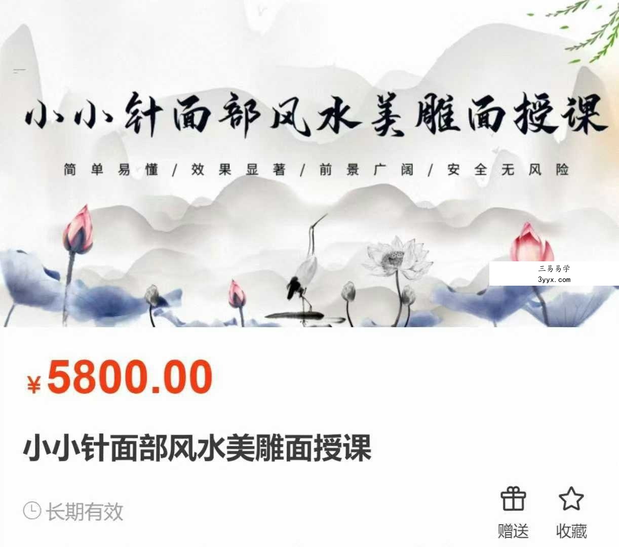 刘梅 2024年12月份《小小针面部风水美雕面授课》38集视频课 课程封面