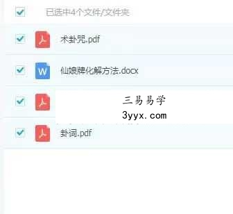 仙娘牌卦术+化解方法引流专用 文档集 课程封面