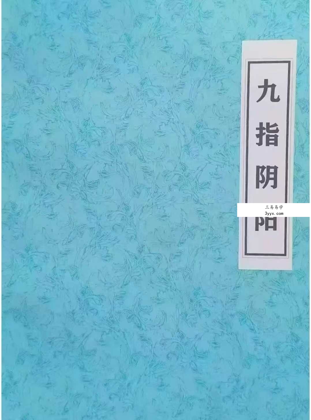 《九指阴阳》阴阳先生秘法57页 课程封面