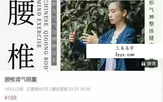 腰椎肾气锦囊9集视频 课程封面