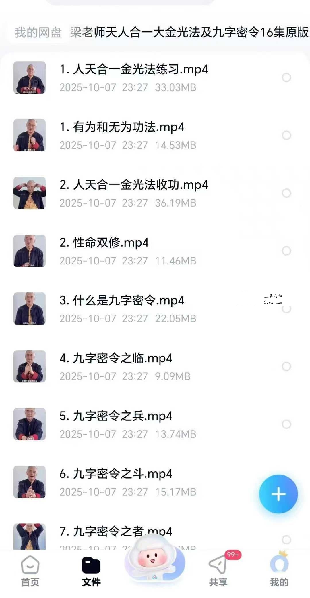 梁守渝 天人合一大金光法及九字密令高清视频课16集 课程封面