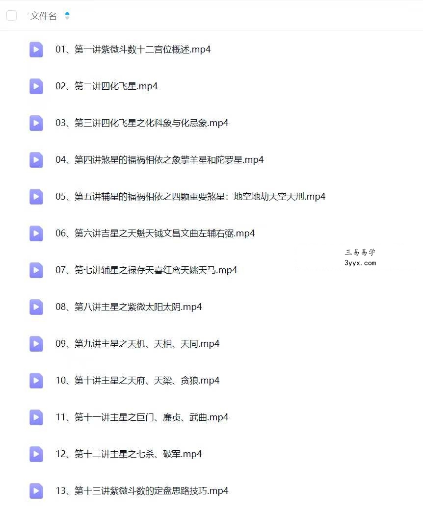 神霄云麓 紫微斗数公益课13集视频课 课程封面