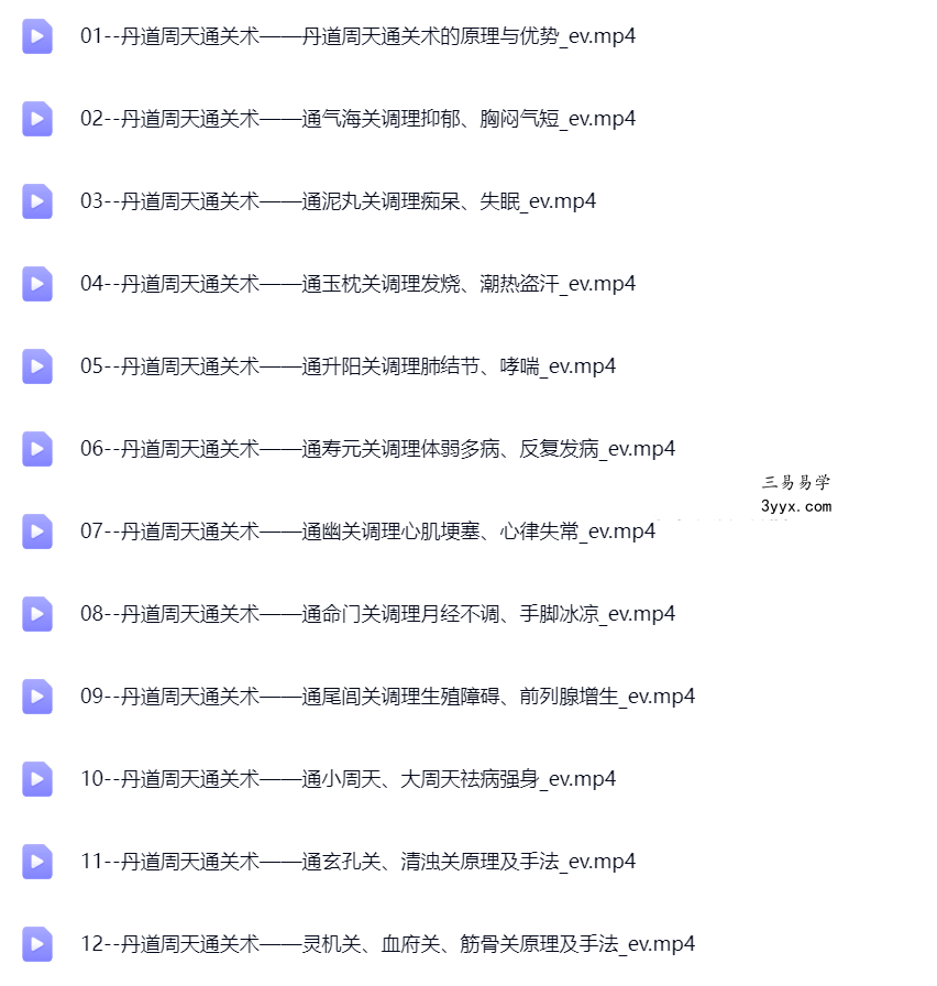 王哲 丹道周天通关术12集 课程封面