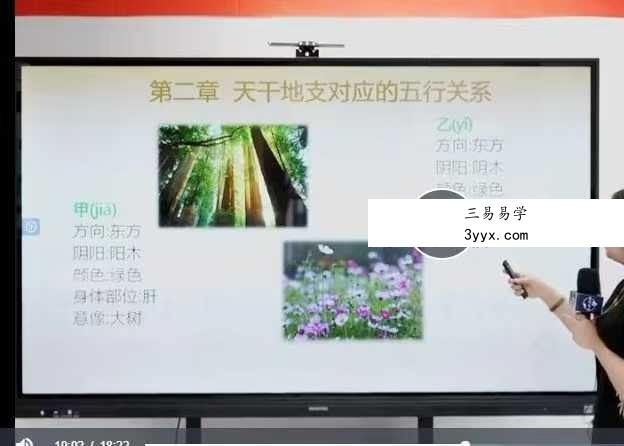 黎荔 子平易学初阶课21集视频 课程封面