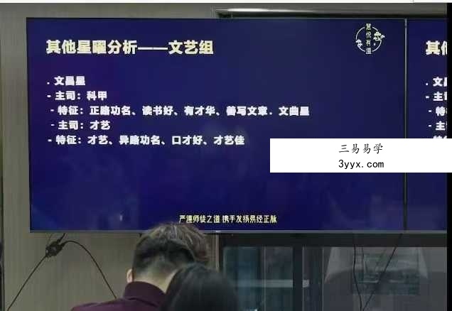 黎荔 紫微心学高阶课18集 课程封面