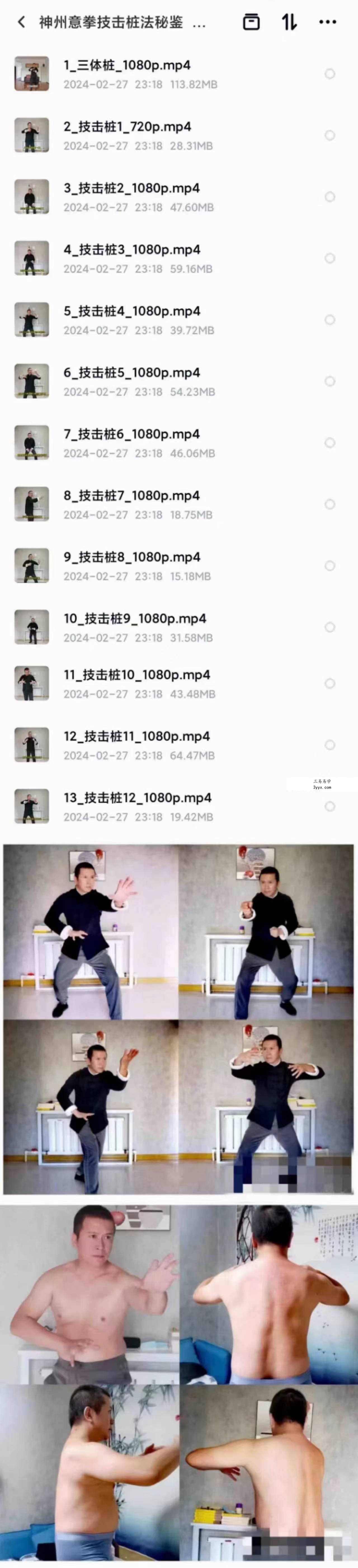 高臣老师《神州意拳技击桩法秘鉴》13集 课程封面
