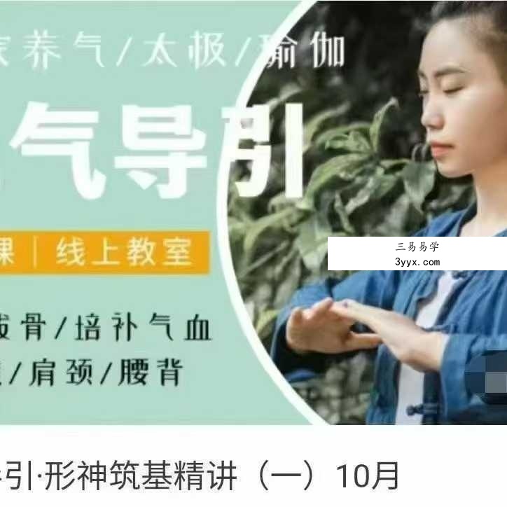 施莹 元气导引 形神筑基精讲24集视频 课程封面