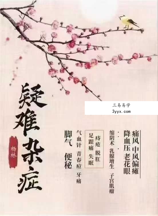 杨林 五十项疑难杂症38页 课程封面
