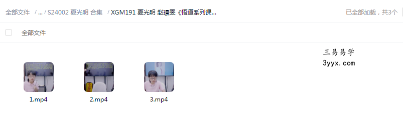 夏光明 赵璟雯《悟道系列课程之八字原局、大运与流年应事解析》3集视频约4小时 课程封面