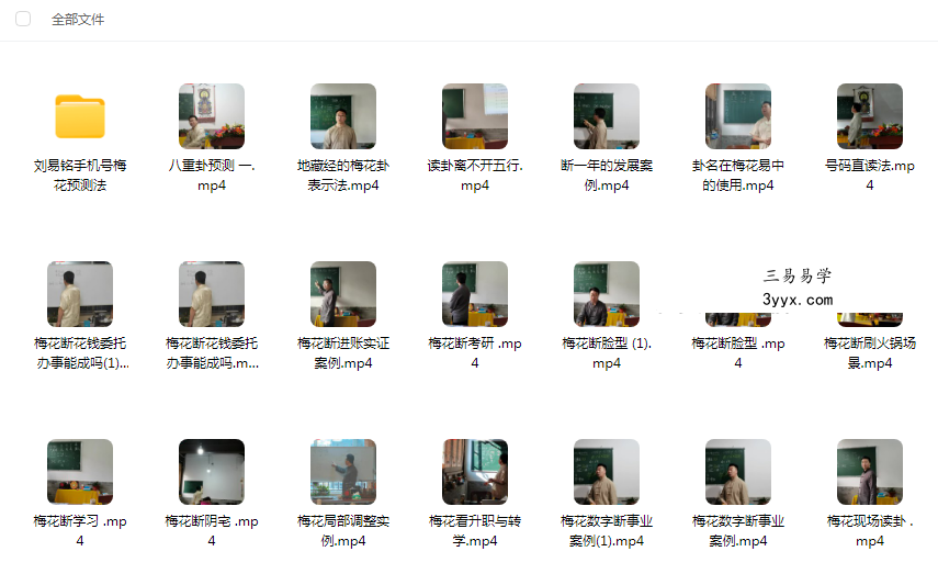 刘易铭梅花易数断卦案例40集 课程封面