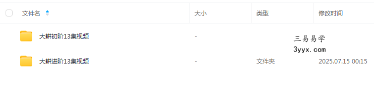 大耕紫微斗数 初阶+进阶 26集视频课 课程封面