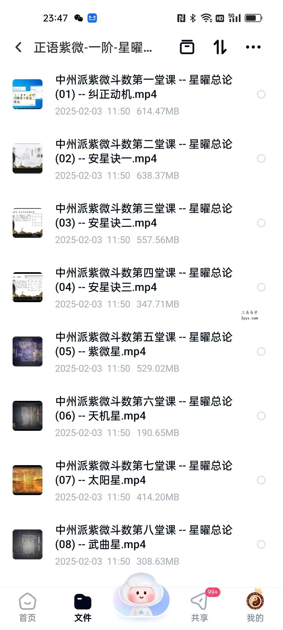 正语紫微（一阶）星曜总论 课程封面