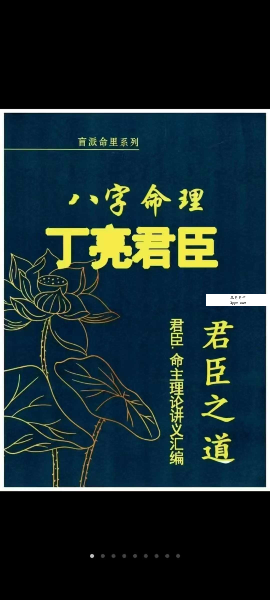 丁亮君臣《君臣之道 命主理论讲义汇编》526页 课程封面