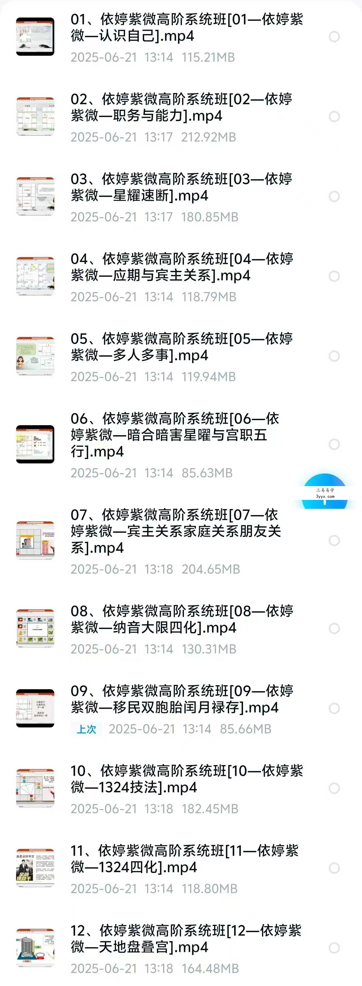 依婷2025年紫微斗数系统班12集 课程封面