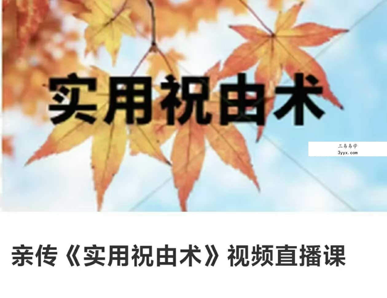 刘小满亲传《实用祝由术》视频直播课11集 课程封面