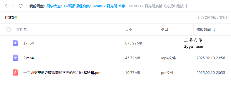 夏光明亲授《龙虎山绝技 十二地支穿刑绝破震撼易学界的独门化解之秘》2集视频+文档 课程封面