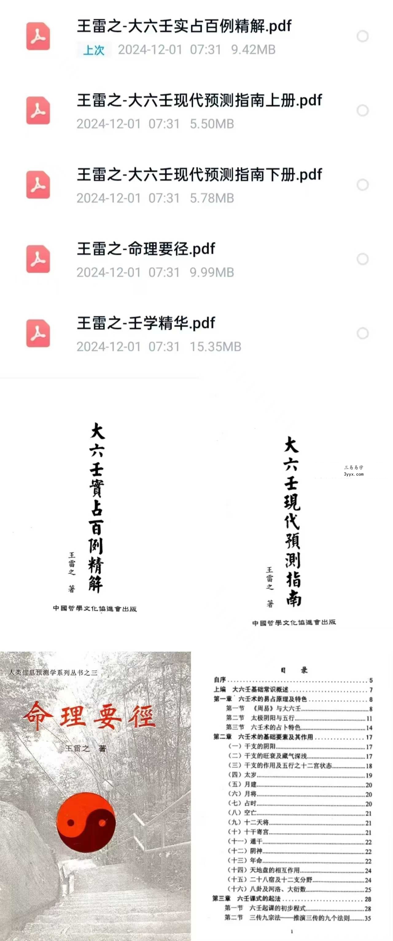 王雷之大六壬5册合集 课程封面