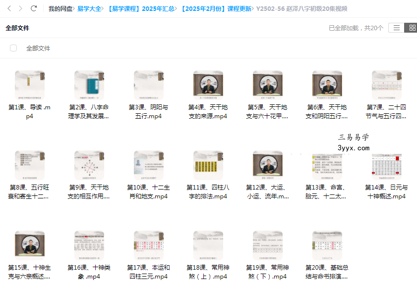 赵泽八字初级20集视频 课程封面