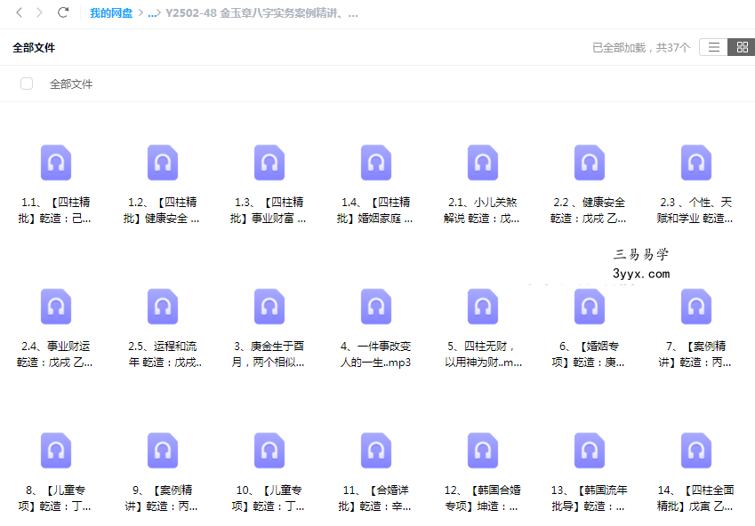 金玉章八字实务案例精讲、四柱精批 28集音频 课程封面