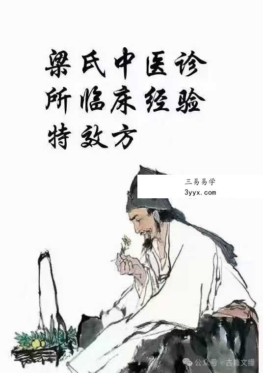 梁氏中医诊所21项临床经验特效技术函授资料 课程封面