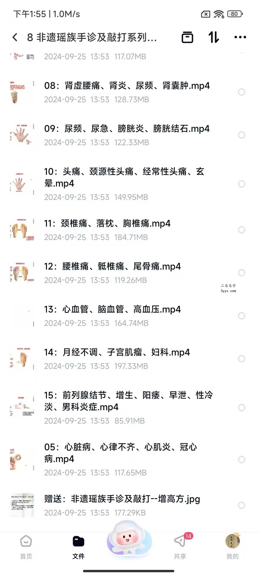 非遗瑶族手诊及敲打系列15集 课程封面