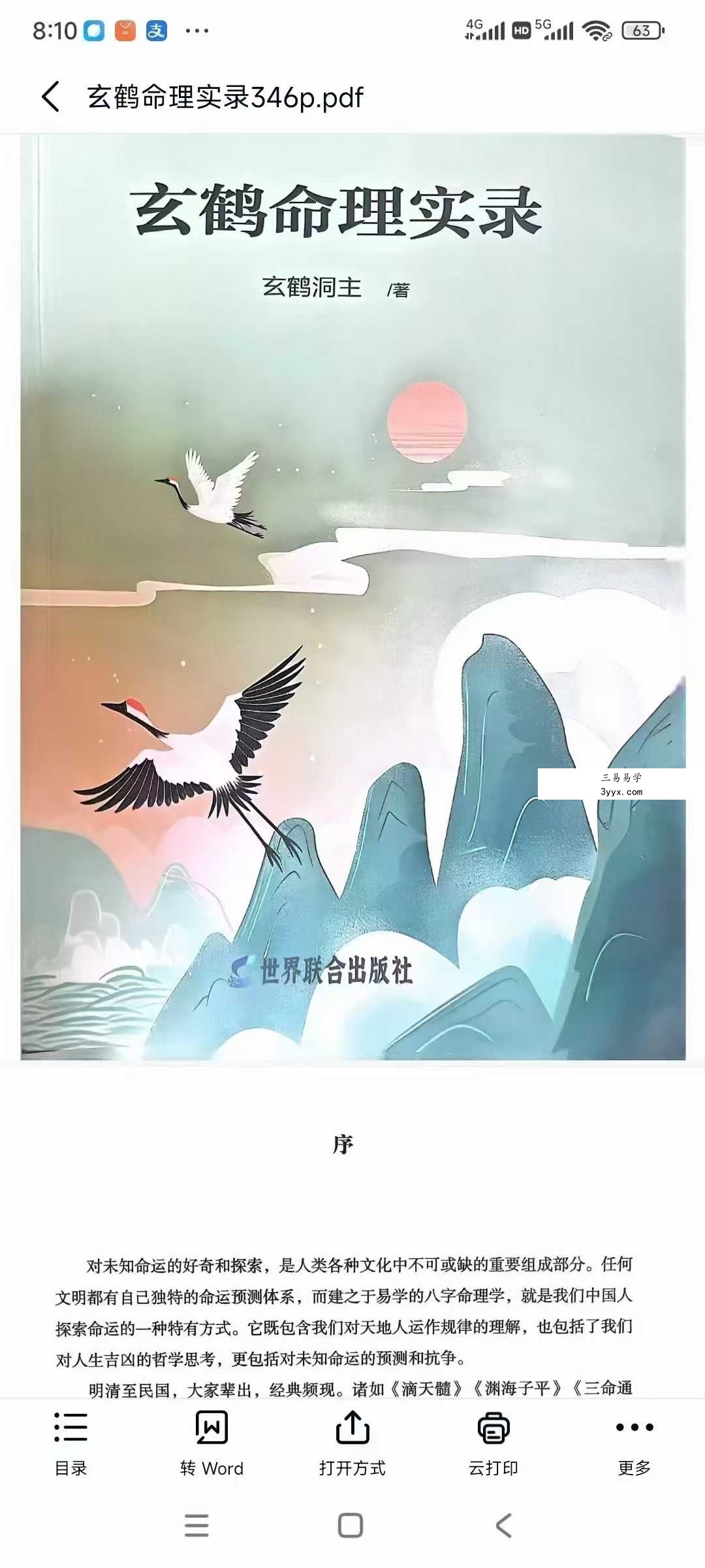 玄鹤洞主《玄鹤命理实录》346页 课程封面