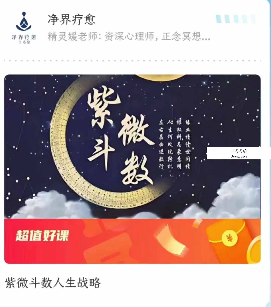紫微斗数人生战略39集 课程封面