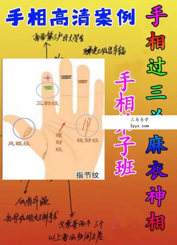 黄瑞海手相弟子班教学200个案例 273页 课程封面