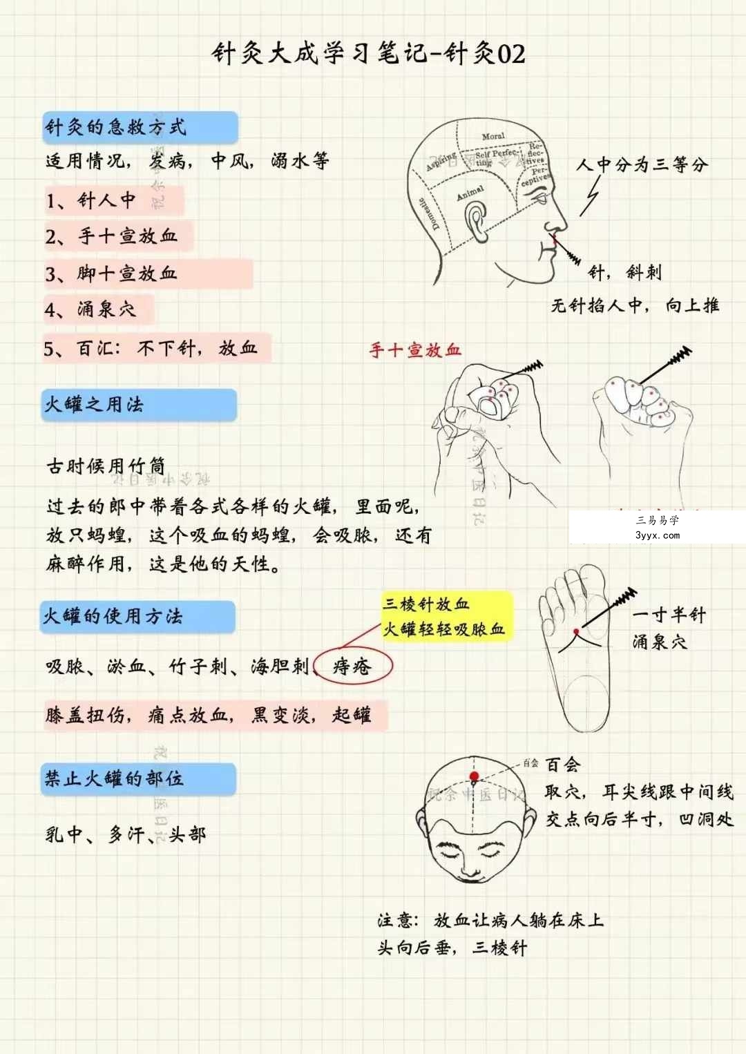 祝余《针灸大成图文笔记》68页 彩色版 课程封面