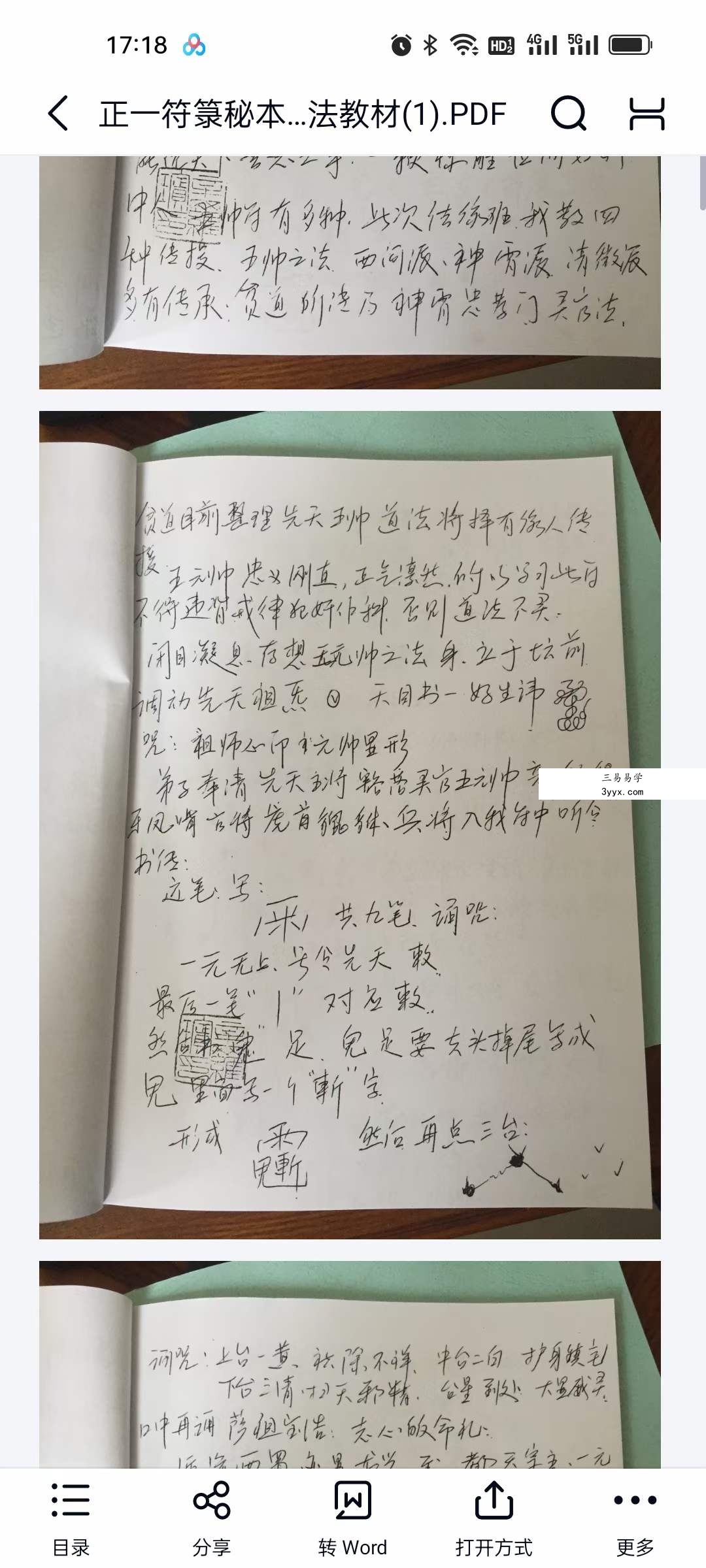 辛罗宾（正一鹤道人）符法 视频+文档 课程封面