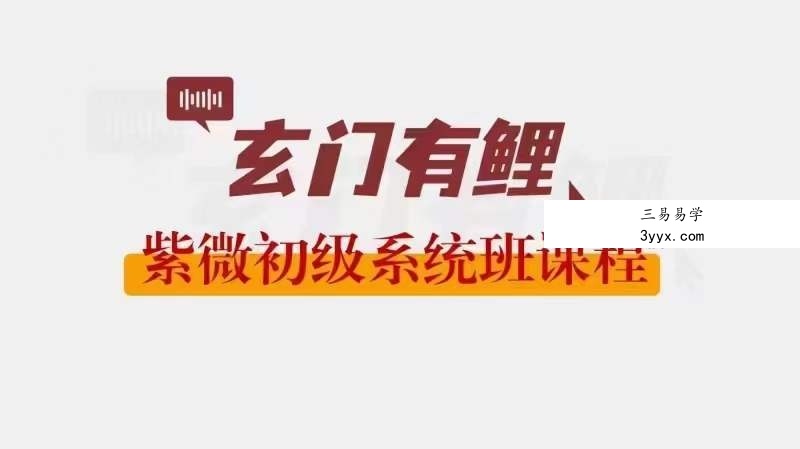 2023玄门有鲤 紫微初级系统班 课程封面