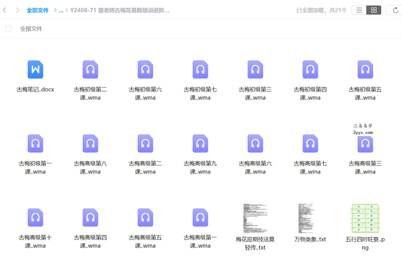 苗老师古梅花易数培训进阶课程音频讲义 含古梅初级+高级课程 课程封面