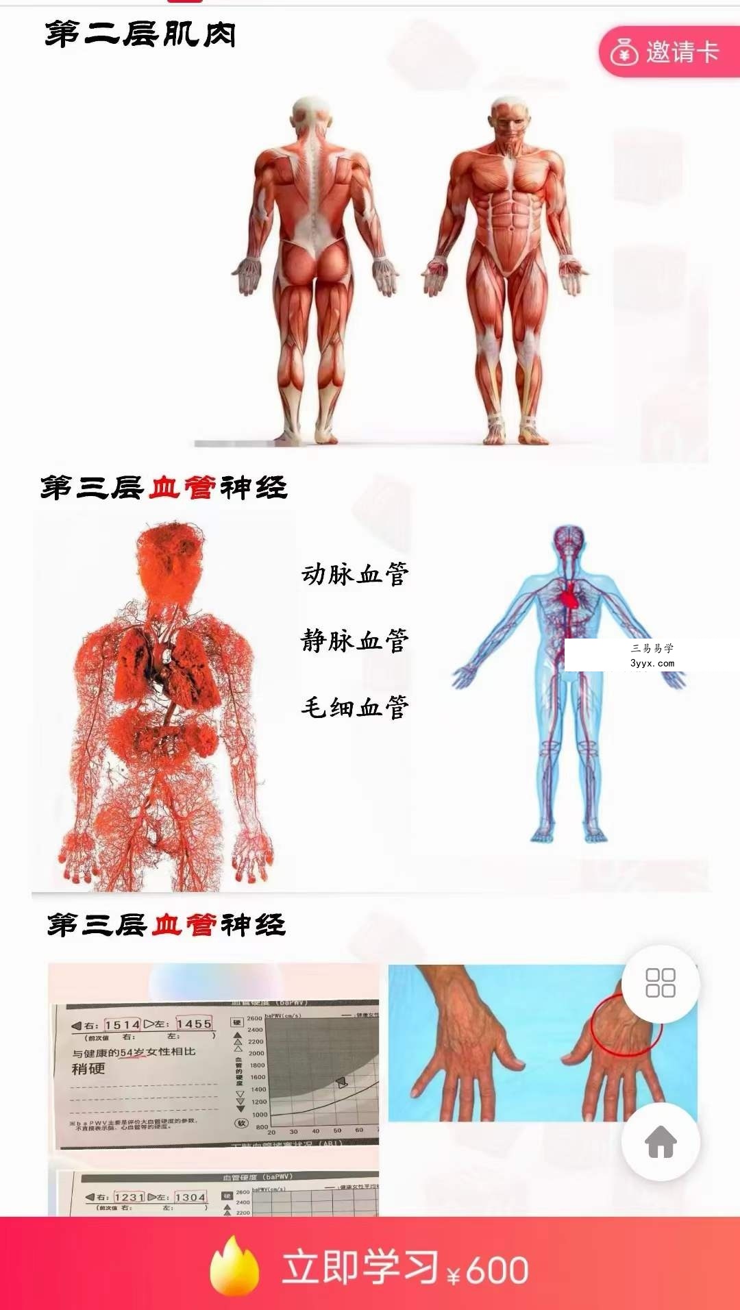 黄庭内景十层太阳桩 私教课1集 课程封面