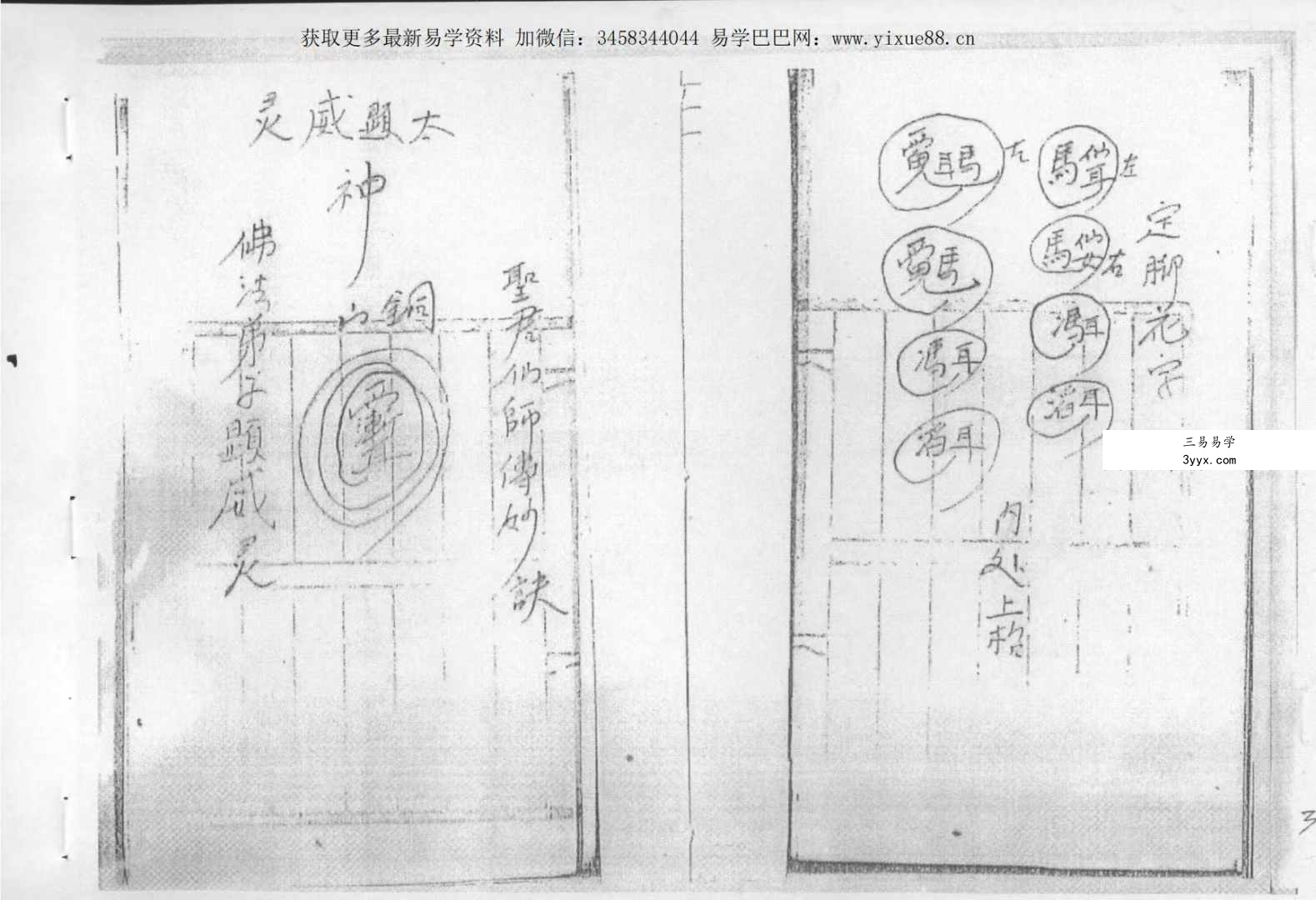 金英教秘传法本28页 课程封面