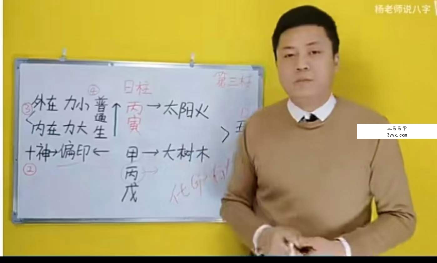 杨老师60甲子单柱解读2集 课程封面