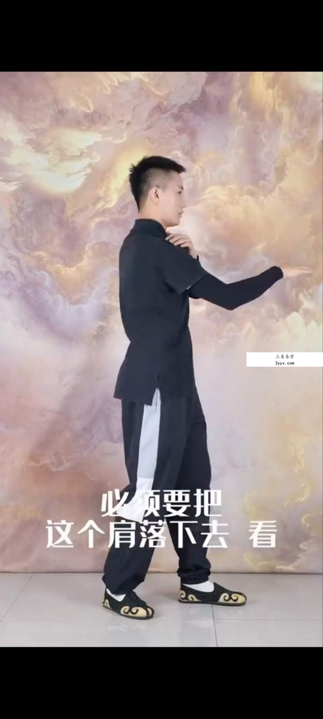 法源 混元桩功教学｜大众健身｜老幼皆宜｜13节 课程封面