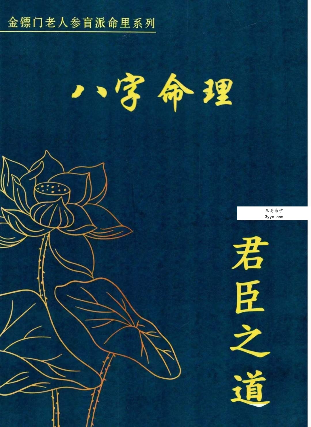 金镖门盲派八字《君臣之道》528页 课程封面