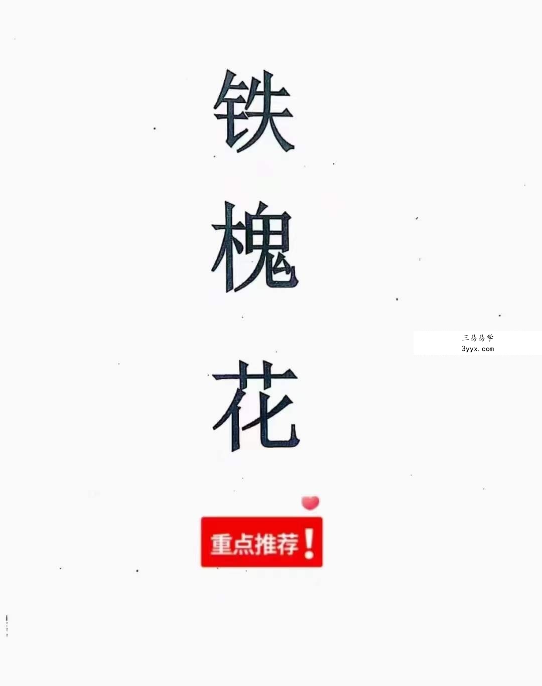 安徽相法《铁槐花》上册+下册 课程封面