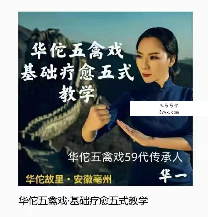 华一老师三合一全套 五禽戏 五步拳 课程封面