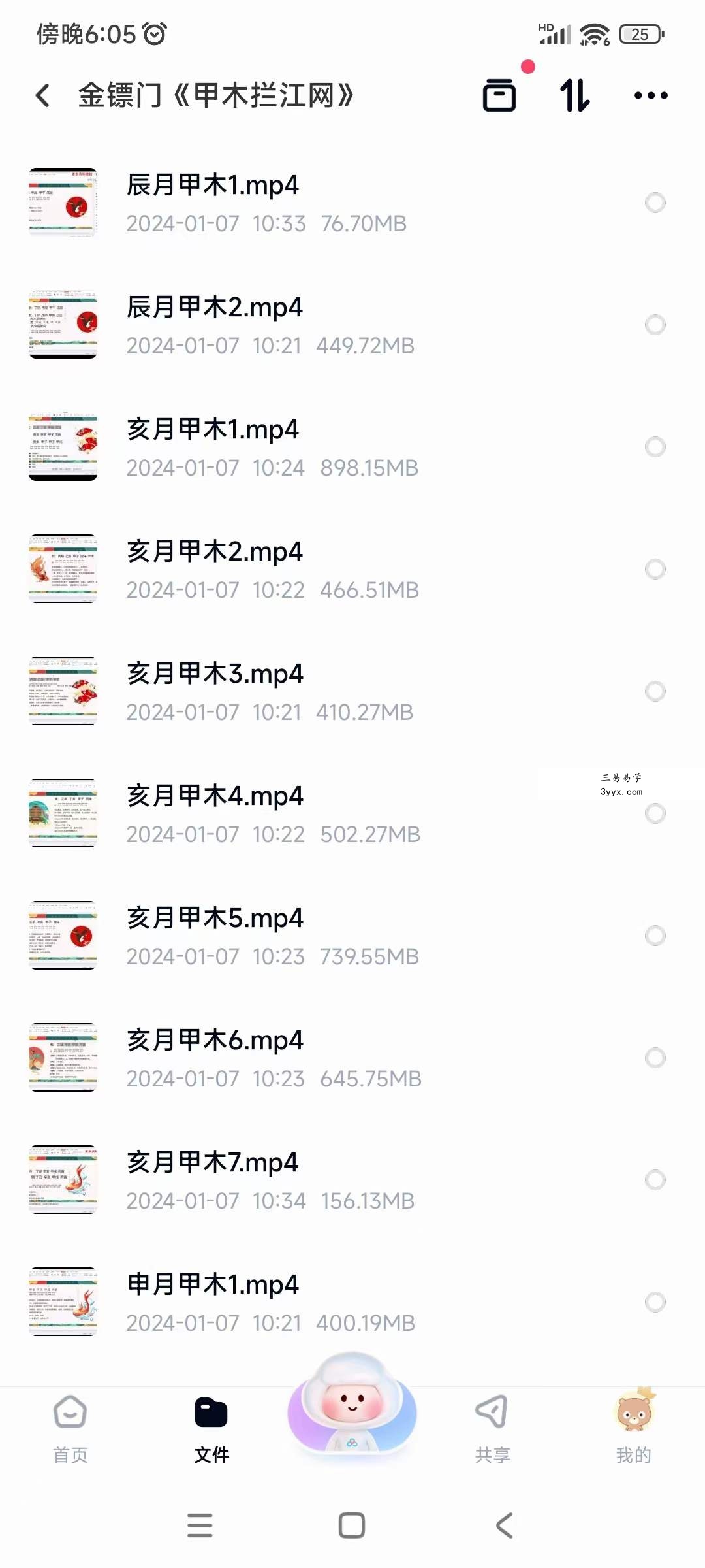 金镖门《甲木拦江网》29集 课程封面